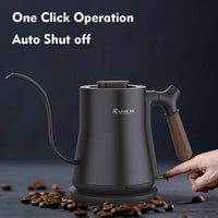 Leak-Proof Gooseneck Electric Kettle for Coffee Brewing, Stainless Steel-4